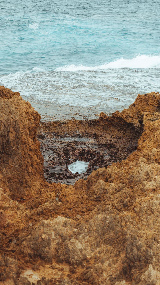 blowholes 2