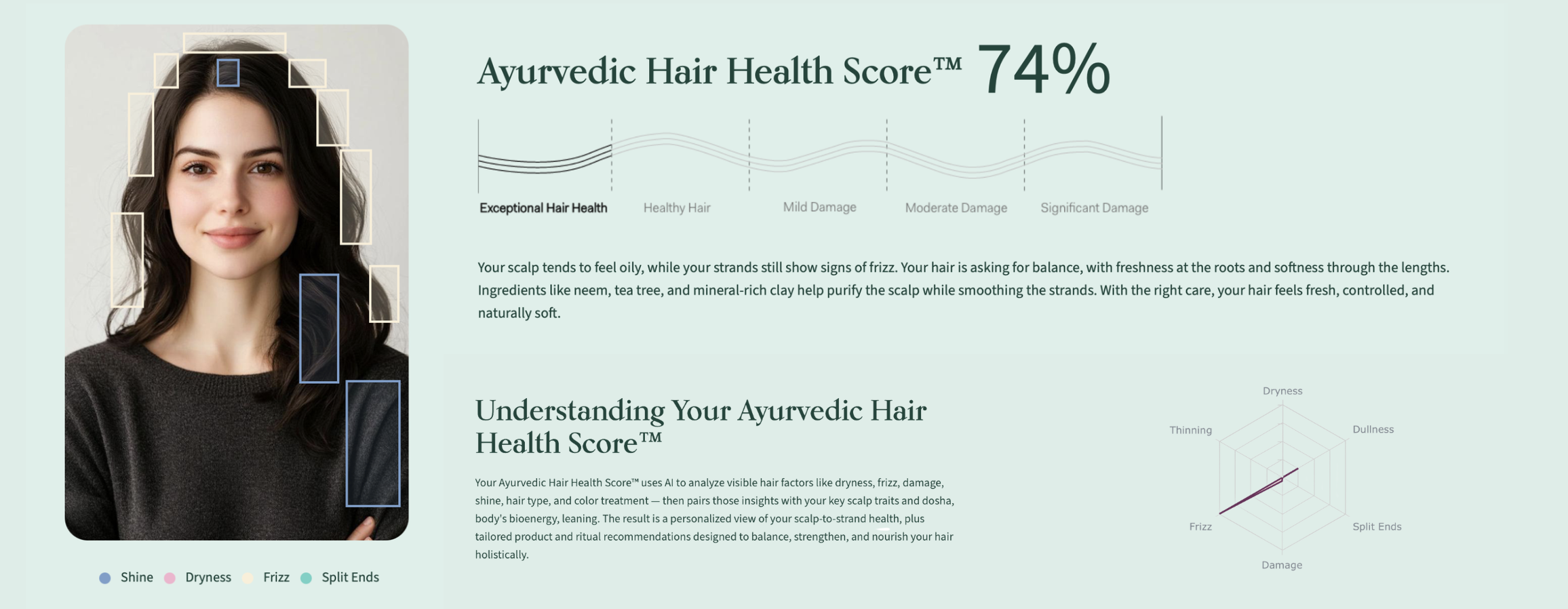 SHAZ & KIKS Ayurvedic Hair Health Score from AI selfie analysis, mapping shine, dryness, frizz and split ends with a scalp-to-strand breakdown