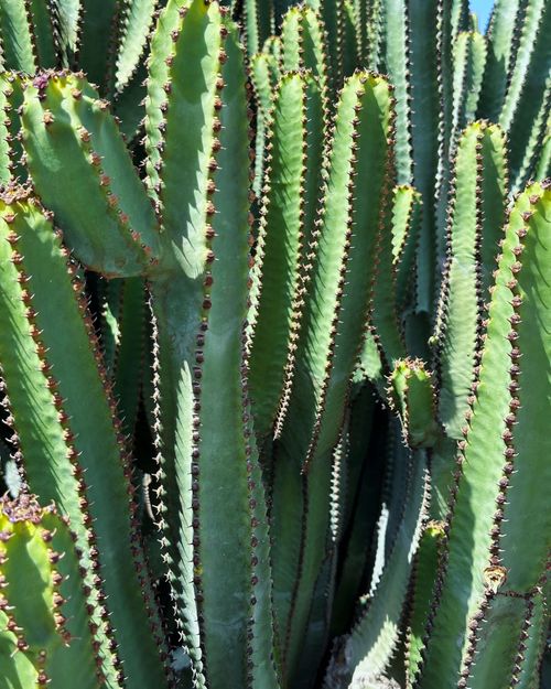 Slider inspiration photo