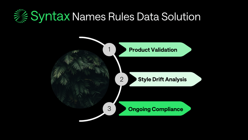 Syntax Names Rule Data Solutions | Syntax