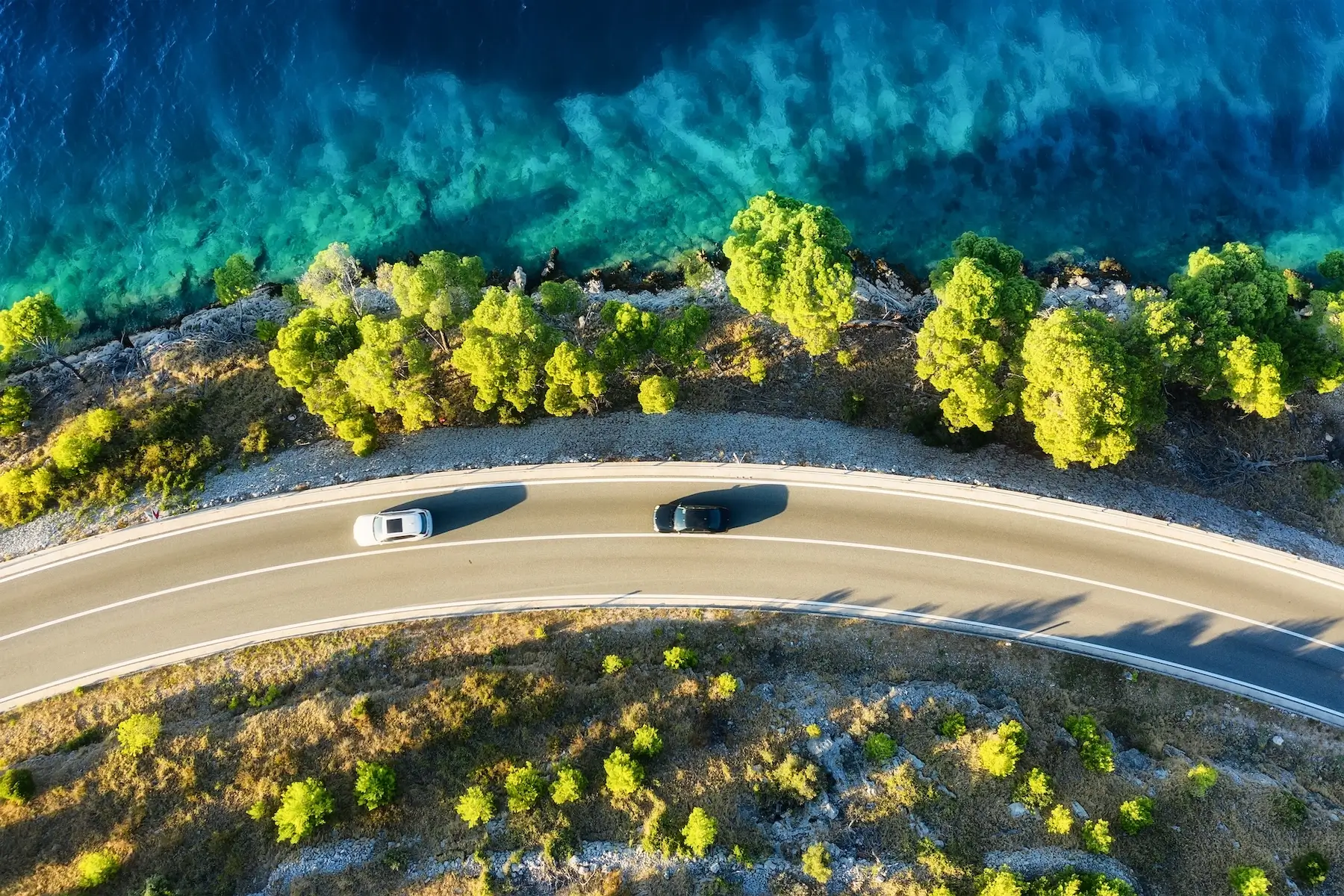 Aerial view of a Queensland coastal road, representing the regional infrastructure behind a domestic biofuels industry