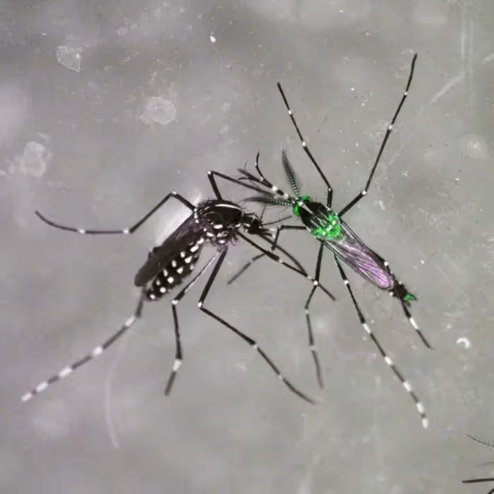 CRISPR et ses promesses de santé parfaite