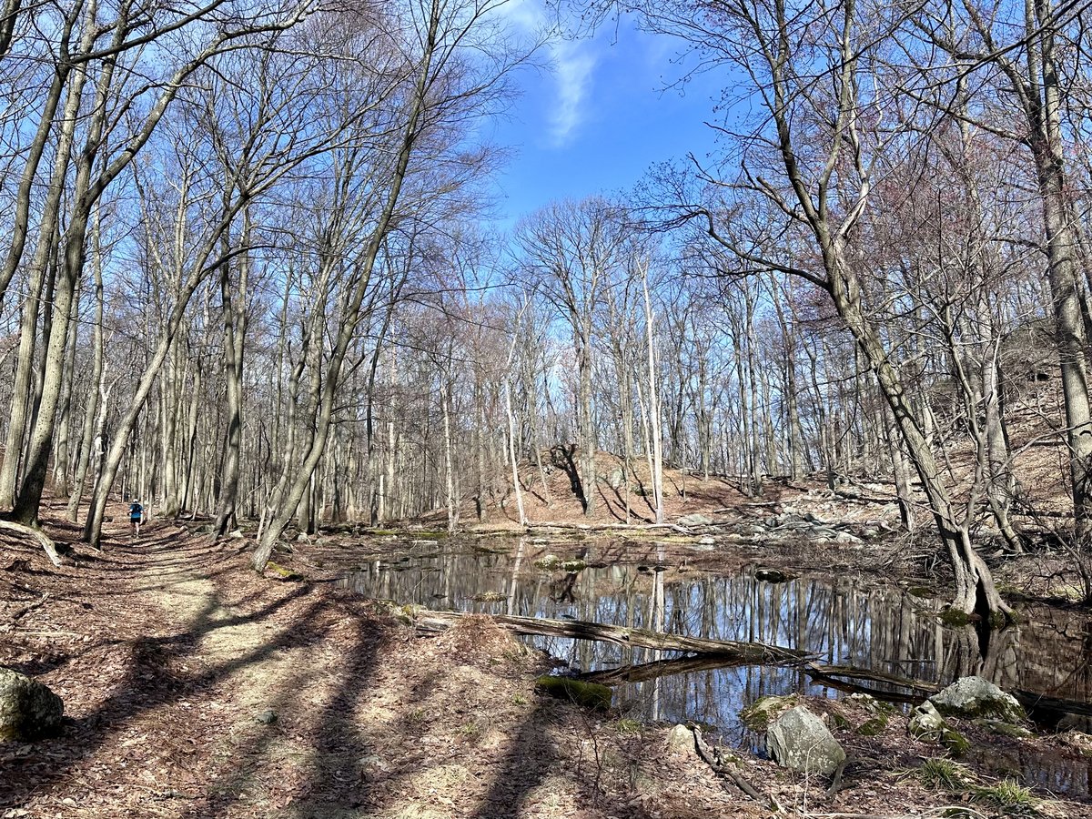 Early miles on a wooded trail past a calm reflective pond, bare trees and blue sky, another runner visible in the distance