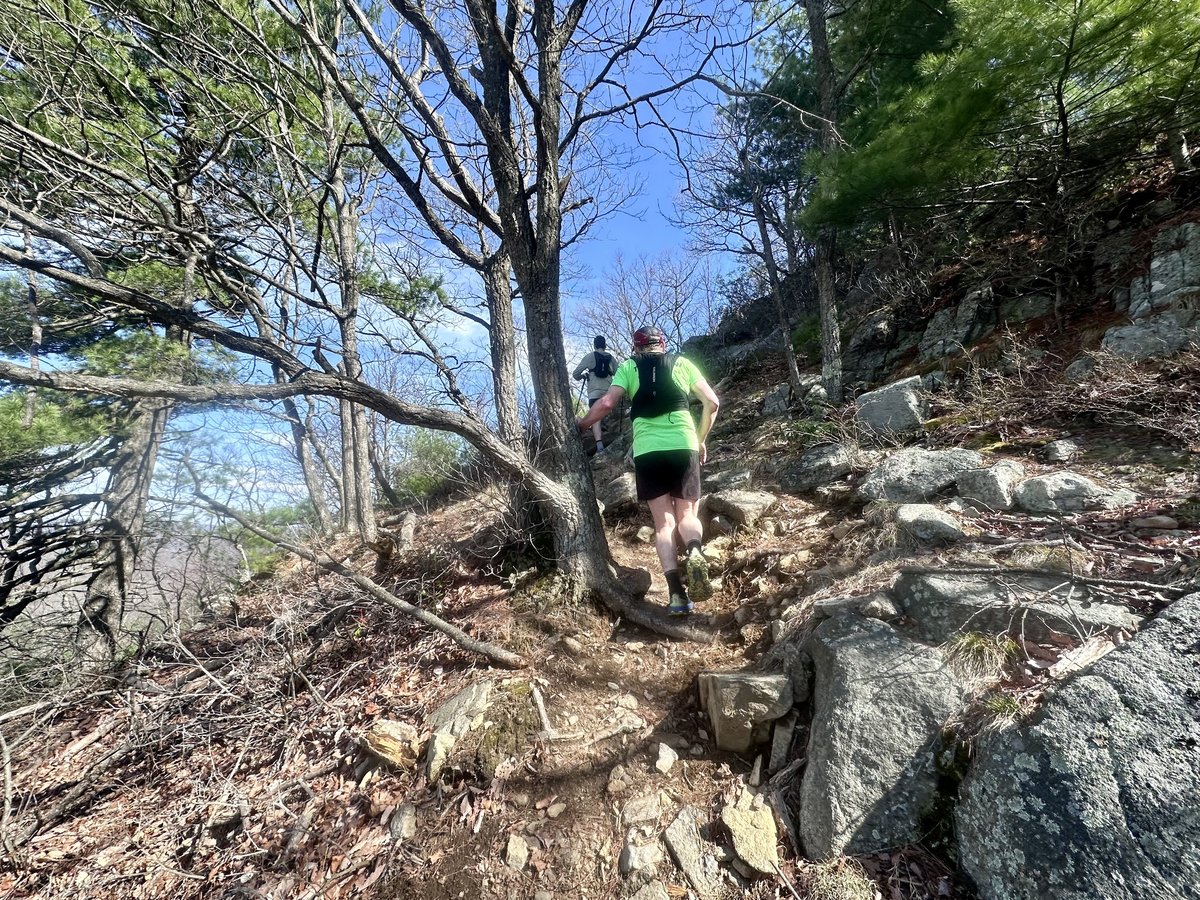 Two runners scrambling up a rocky technical trail with roots and exposed granite, evergreen trees and open sky above