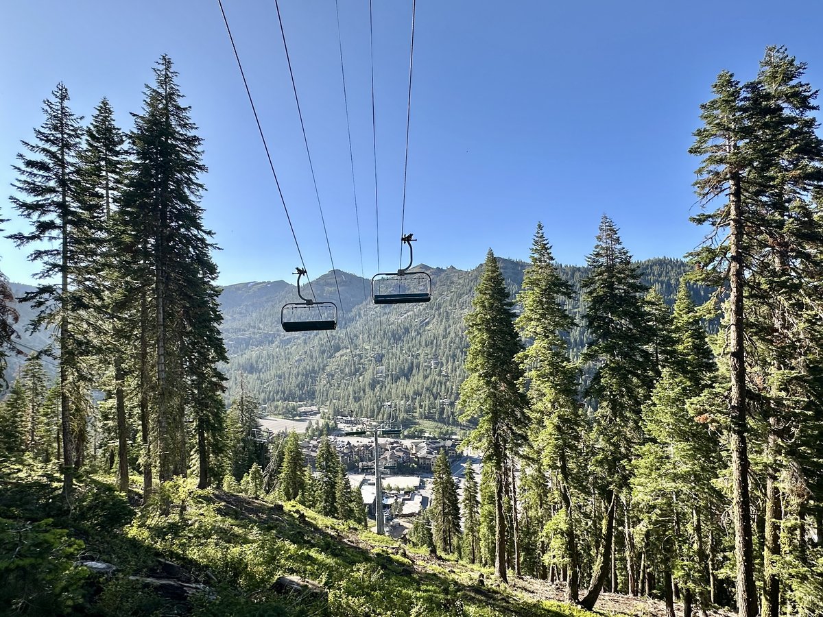 Empty chairlifts hang above a corridor of tall Sierra Nevada pines, with the Palisades Tahoe village visible below and a deep blue summer sky overhead