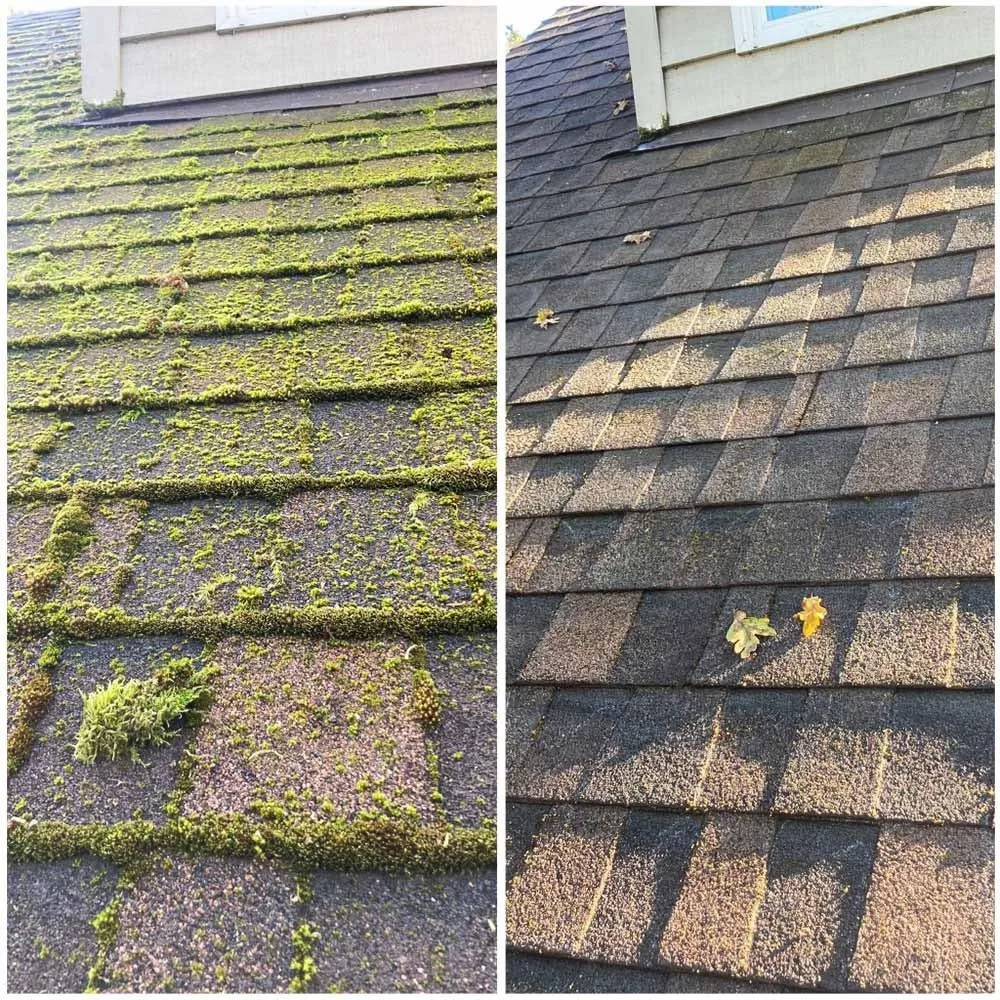 Side-by-side comparison of a roof before and after cleaning, with the left side covered in green moss and the right side clear and clean with a few leaves.