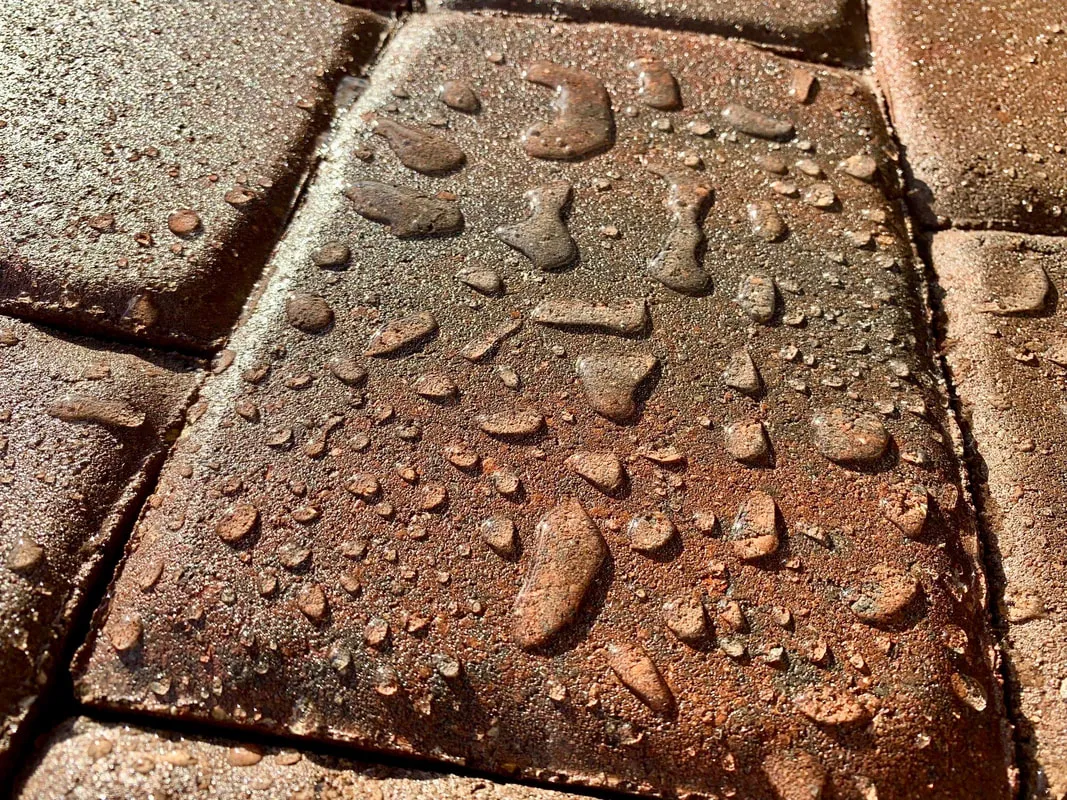 a picture of Pavers Restoration