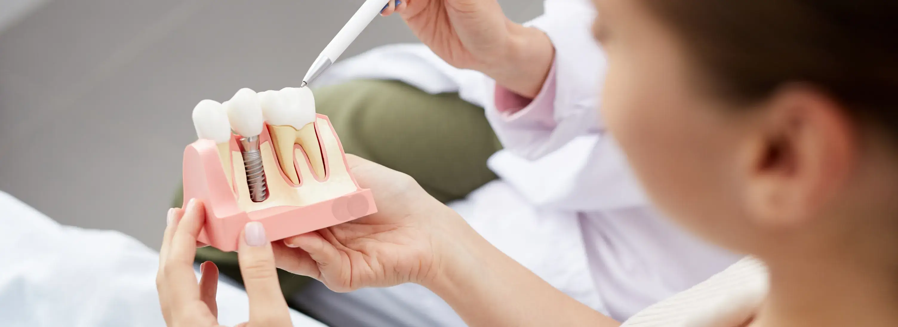 A woman holding a toothbrush and a model of a tooth.