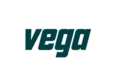 Vega Security