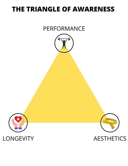 The Triangle of Awareness: Balancing Aesthetics, Longevity, and Performance
