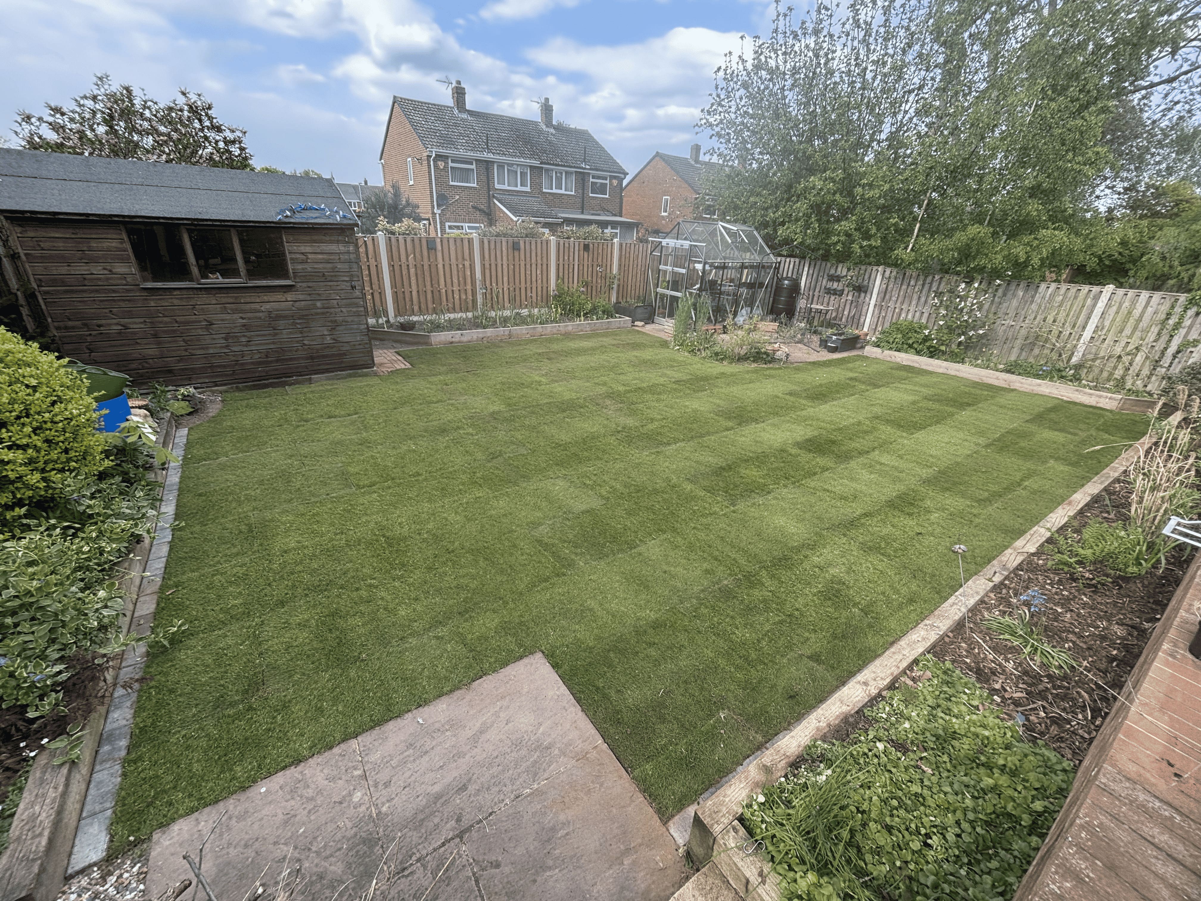 Rectangular backyard with freshly mowed lawn, wooden shed, garden beds, and a greenhouse under a blue sky.