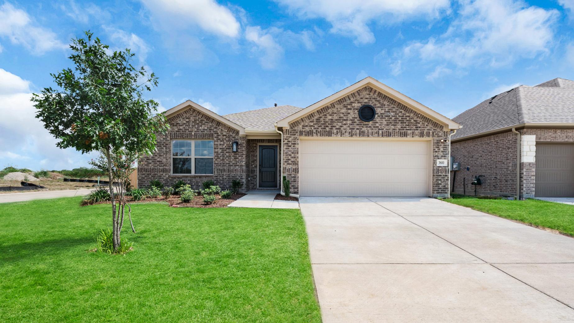 3800 Arrowchop | Cottonwood A