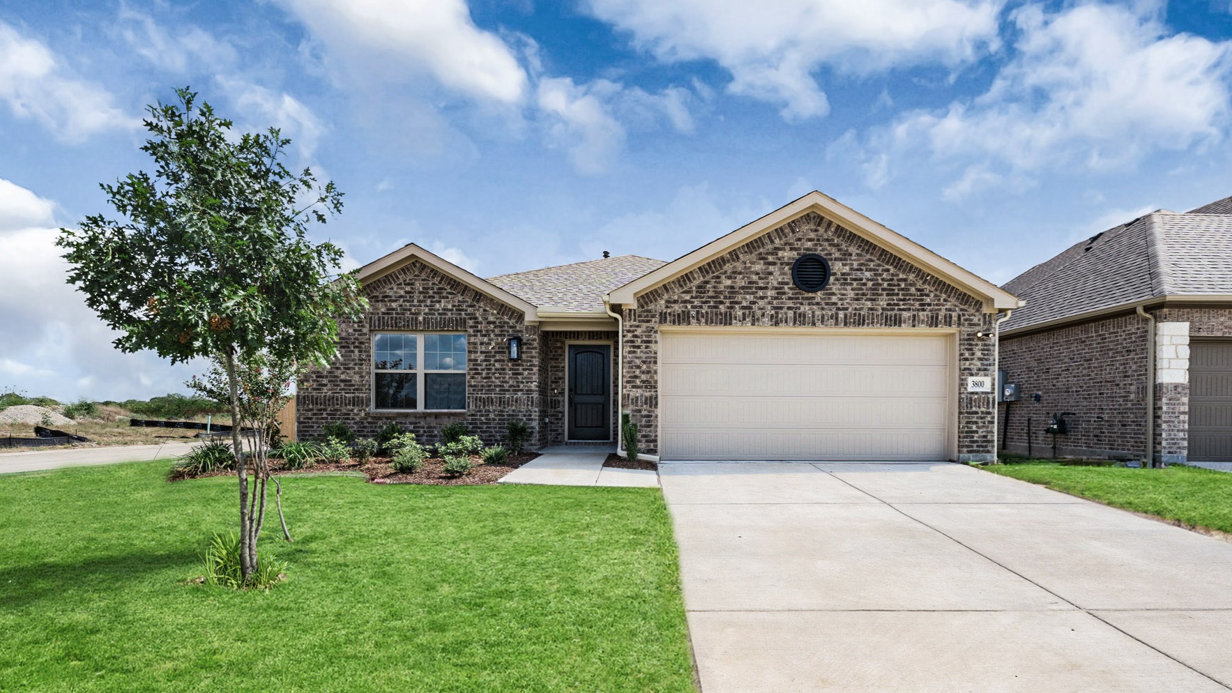 3800 Arrowchop | Cottonwood A