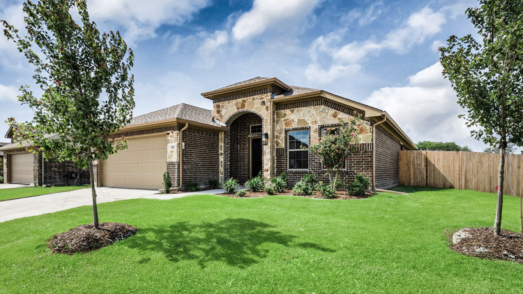 3801 Arrowchop | Cypress E