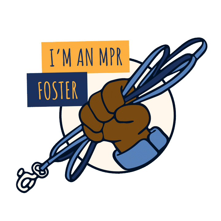 gif of alternating hands holding a leash, a dog toy, and a sponge with text that reads "I'm an MPR Foster"