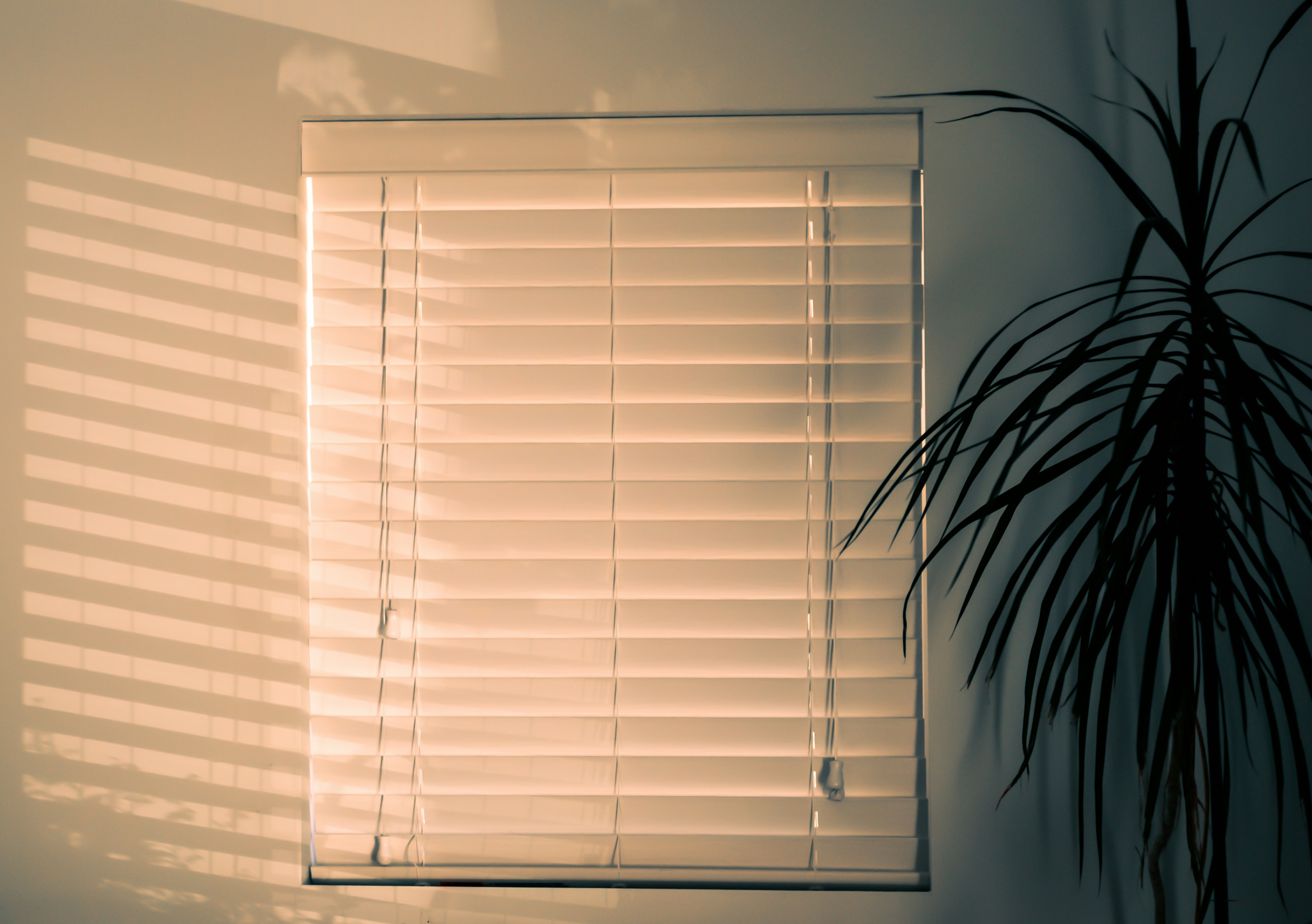 move-out cleaning calgary