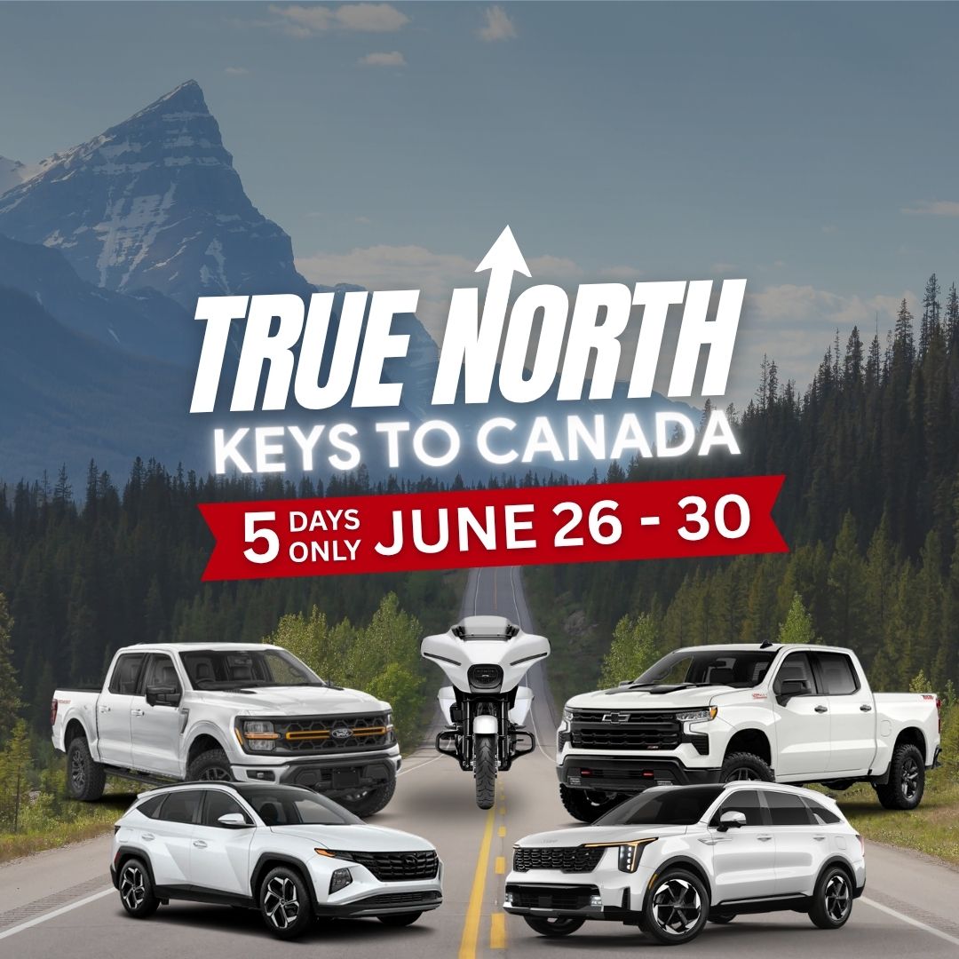mobile hero image sale true north offer