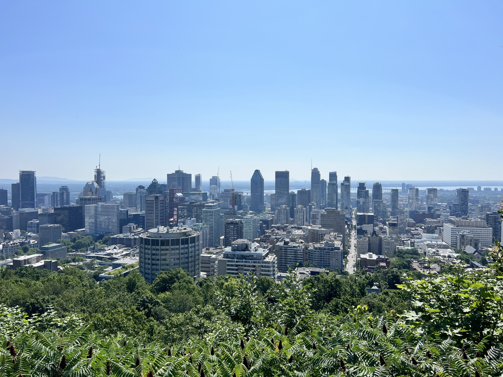 Montreal skyline seen from Mount Royal