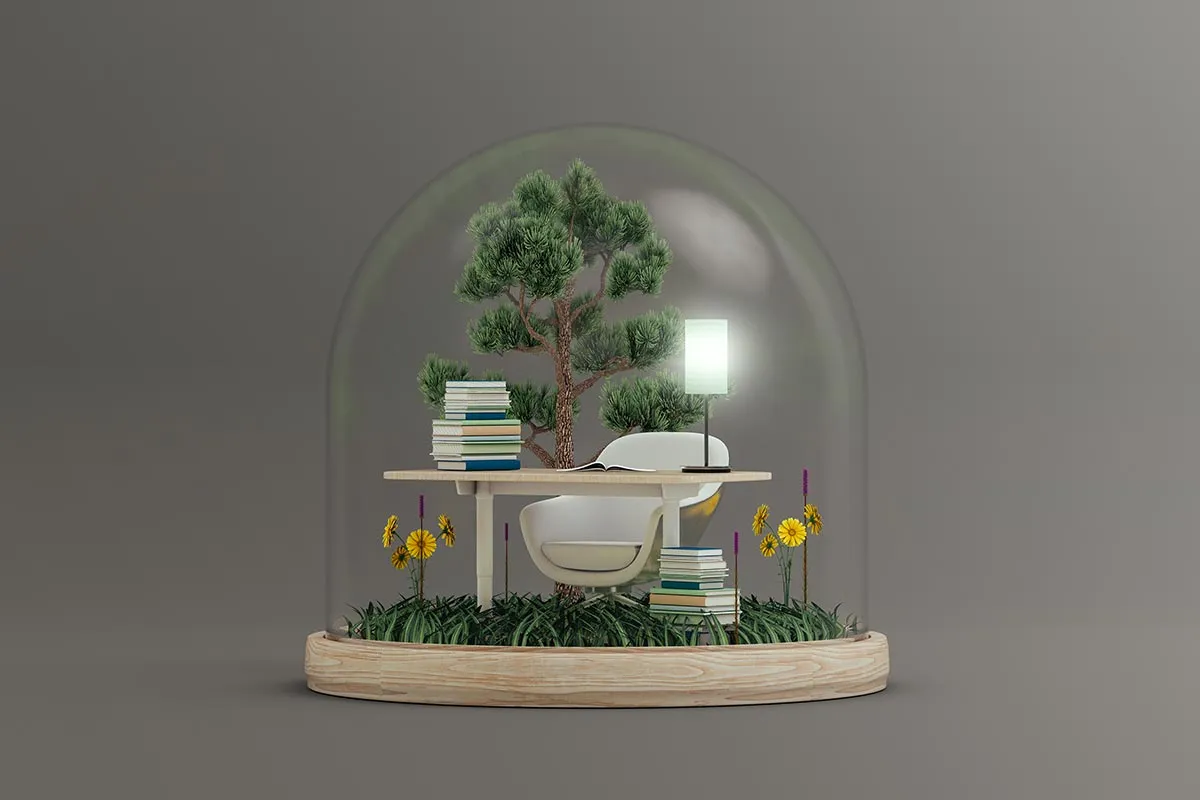 The Novel Kickstarter Dome