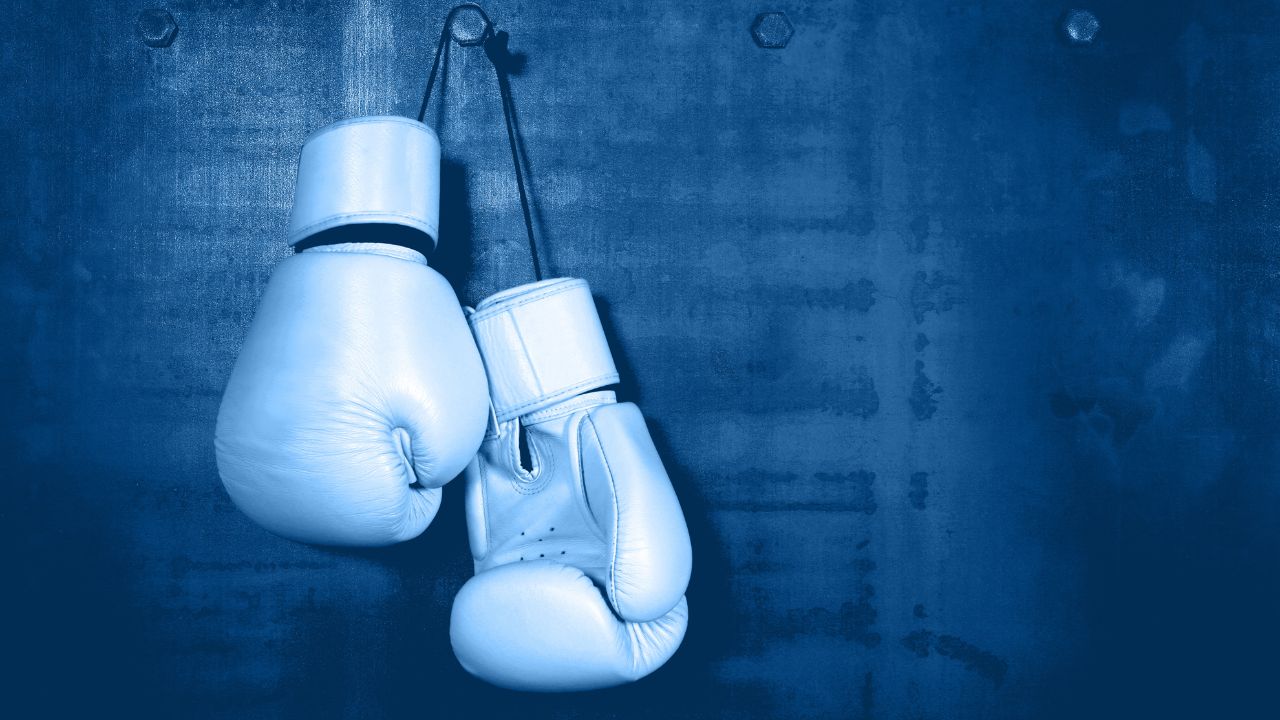 Boxing gloves. Dealing with rejection as a writer is a big part of the job. 