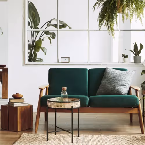 A modern indoor environment with large windows adorned by several houseplants and natural materials like wood furniture representing rewilding.