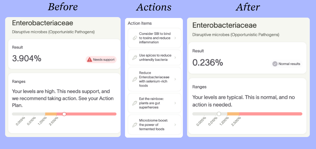 Before-and-after Enterobacteriaceae results showing a drop from 3.904% to 0.236% with action items in between