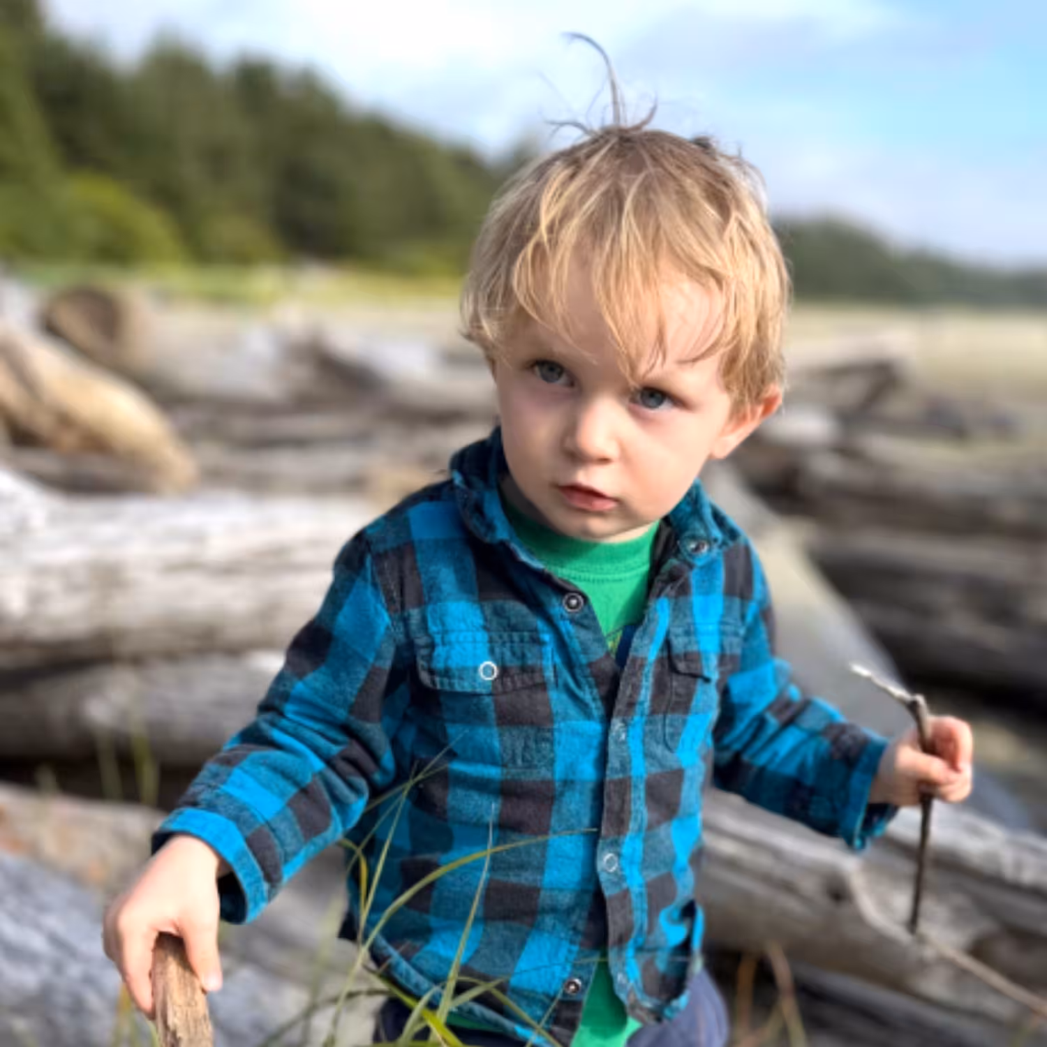 Blond toddler in blue plaid shirt holds a stick, standing among driftwood logs on a beach.