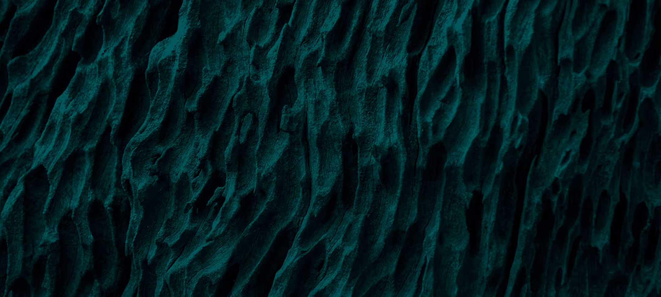 Close-up of textured dark green ridged surface resembling weathered tree bark or stone.