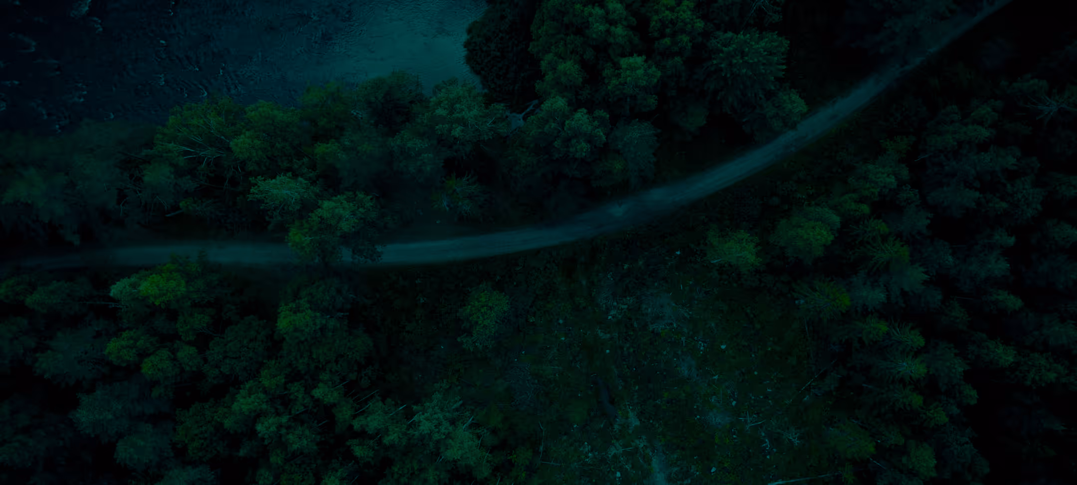 A narrow dirt road winding through a dense forest area with green trees from an aerial view.