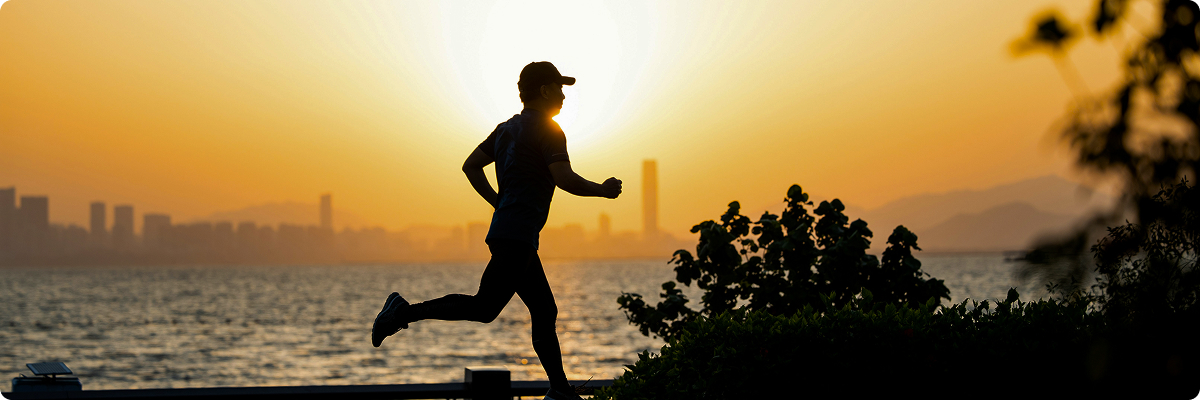 Article Single Image