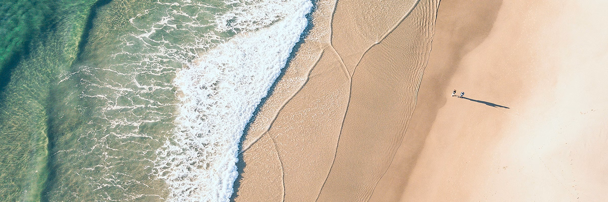 Article Single Image