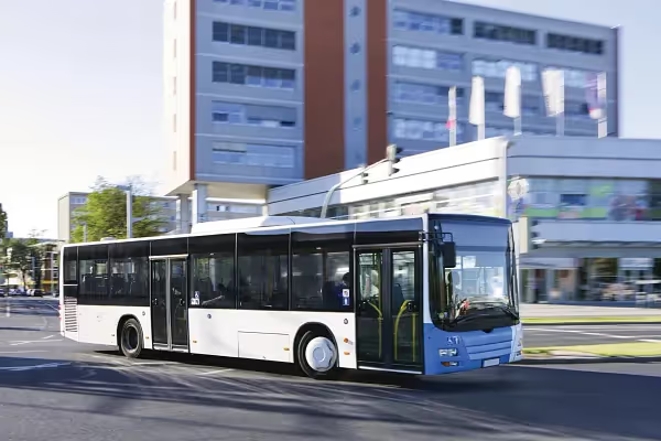White city bus driving on street.