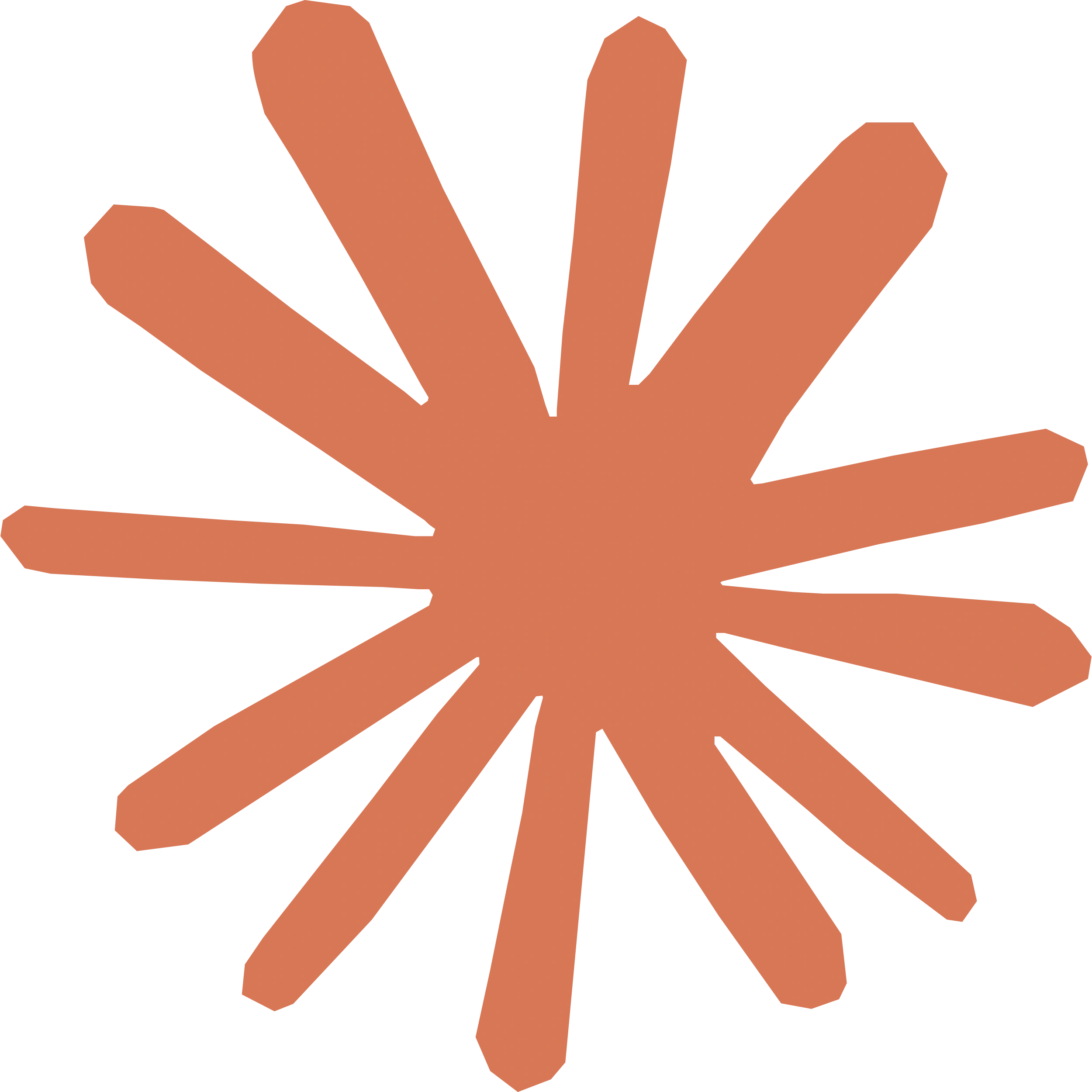The Paak logo
