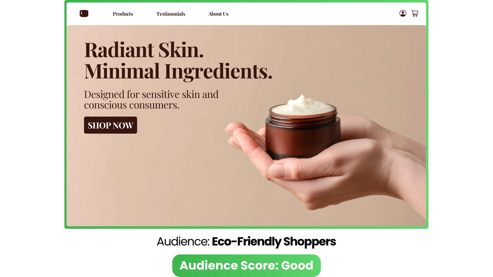 Example of AdSkate audience analysis result showing a skincare landing page matched to eco-friendly shoppers with high audience score