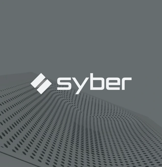 Syber - New White Era