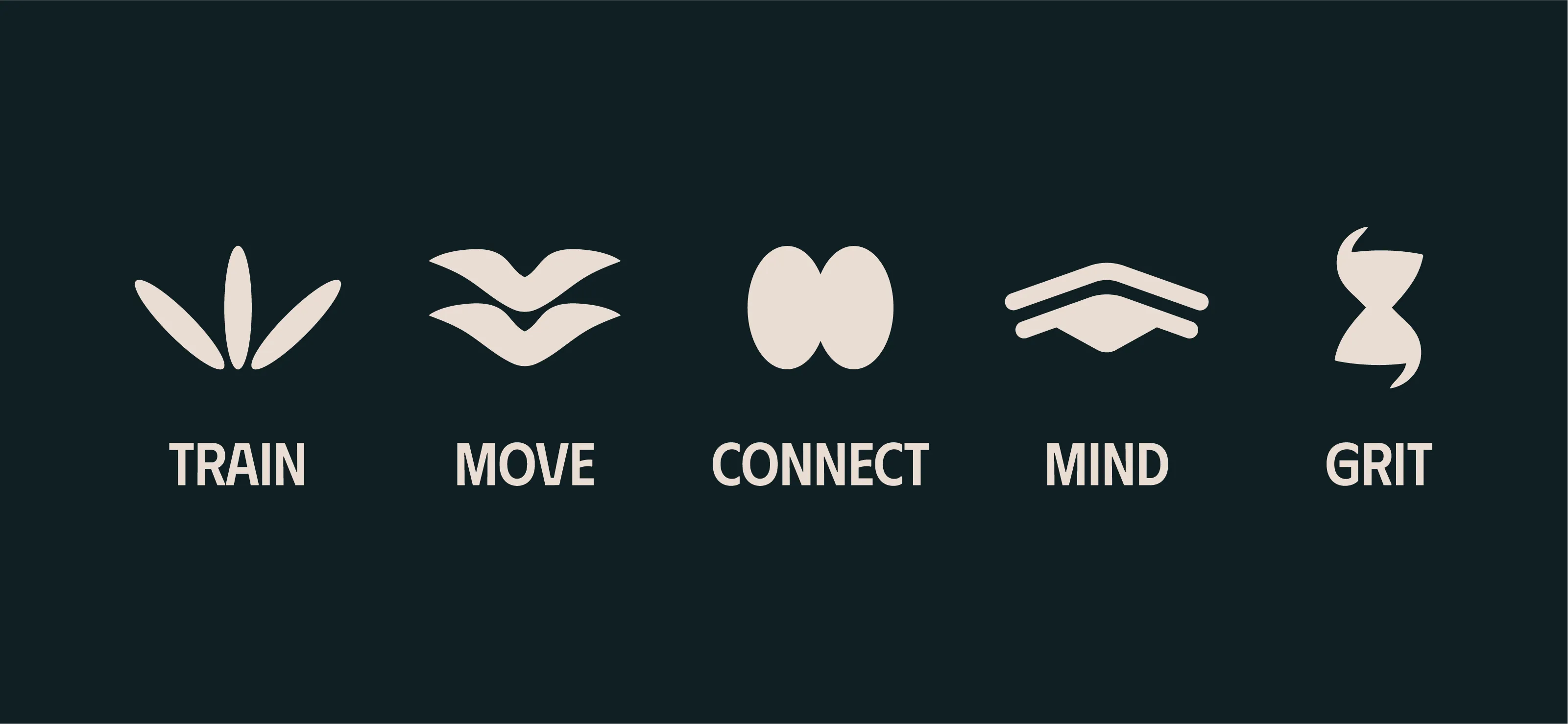 Five branded icon designs with labels below: abstract footprint of a New Zealand falcon labeled Train, two chevron shapes resembling two falcons flying labeled Move, two connected ovals representing falcon eggs labeled Connect, an abstract falcon eye labeled Mind, and a twisted hourglass shape from two falcon beaks put together labeled Grit.