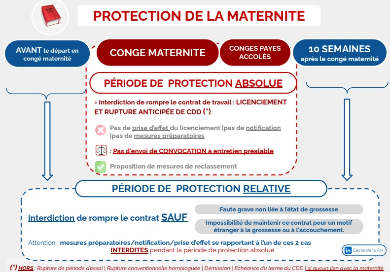 Infographie sur la protection relative de la maternité : avant le départ en congé maternité et pendant les 10 semaines après le congé maternité, et sur la protection absolue durant le congé maternité).