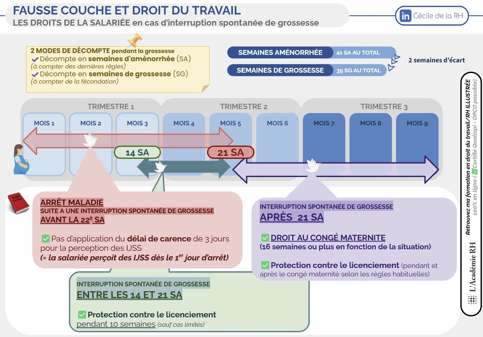 Infographie sur les droits de la salariée en cas d’interruption spontanée de grossesse issus de la loi la loi n° 2023-567 du 7 juillet 2023 : suppression du délai de carence de 3 jours et protection contre le licenciement).