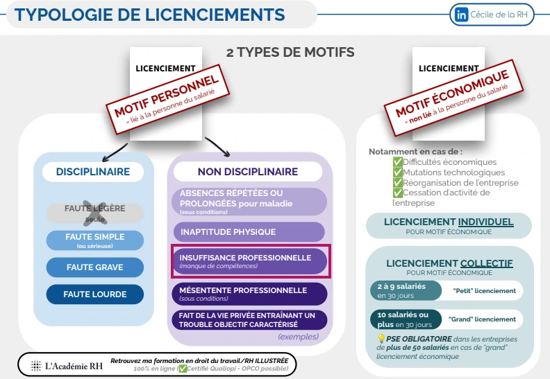infographie sur les différents types de licenciements dont les licenciements pour motif personnel non disciplinaire et  l'insuffisance professionnelle