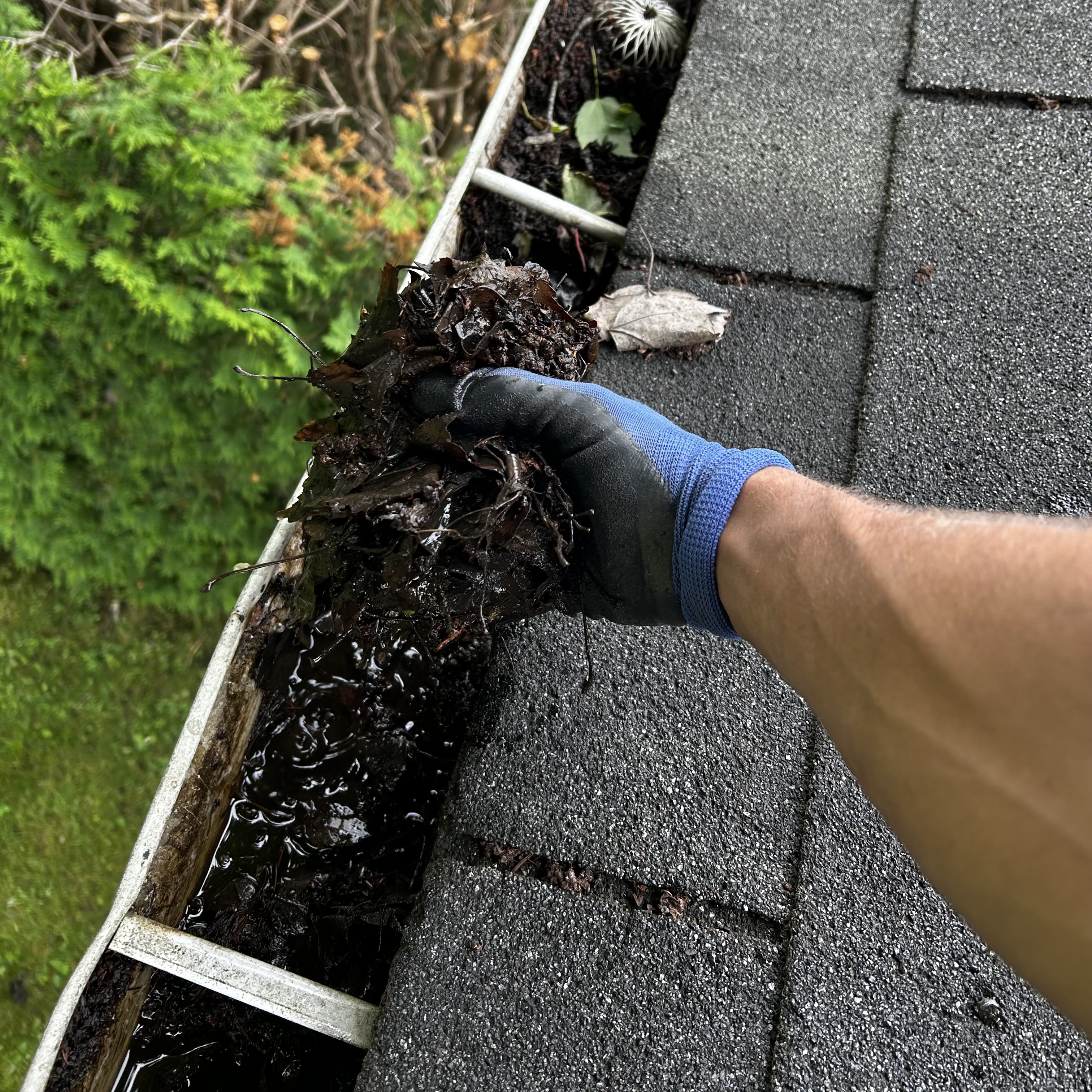 Nettoyage de gouttières Magog fait par Services Apollo