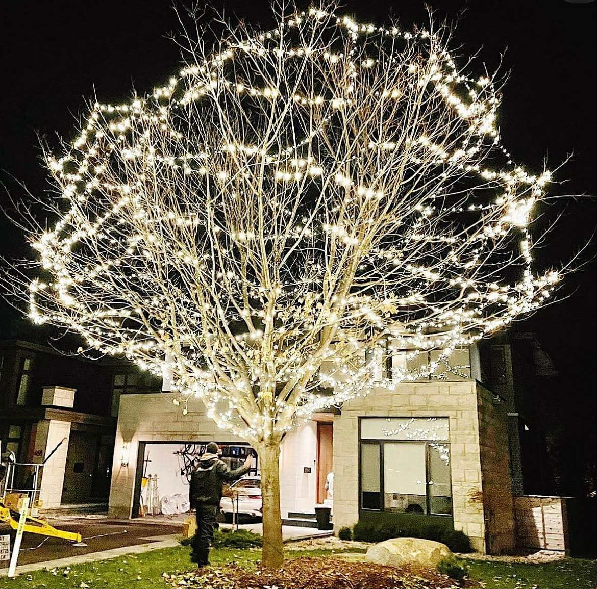 Installation de lumières de noel, Arbre