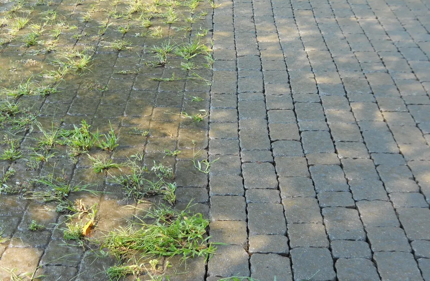 Restauration de pavé uni Sherbrooke