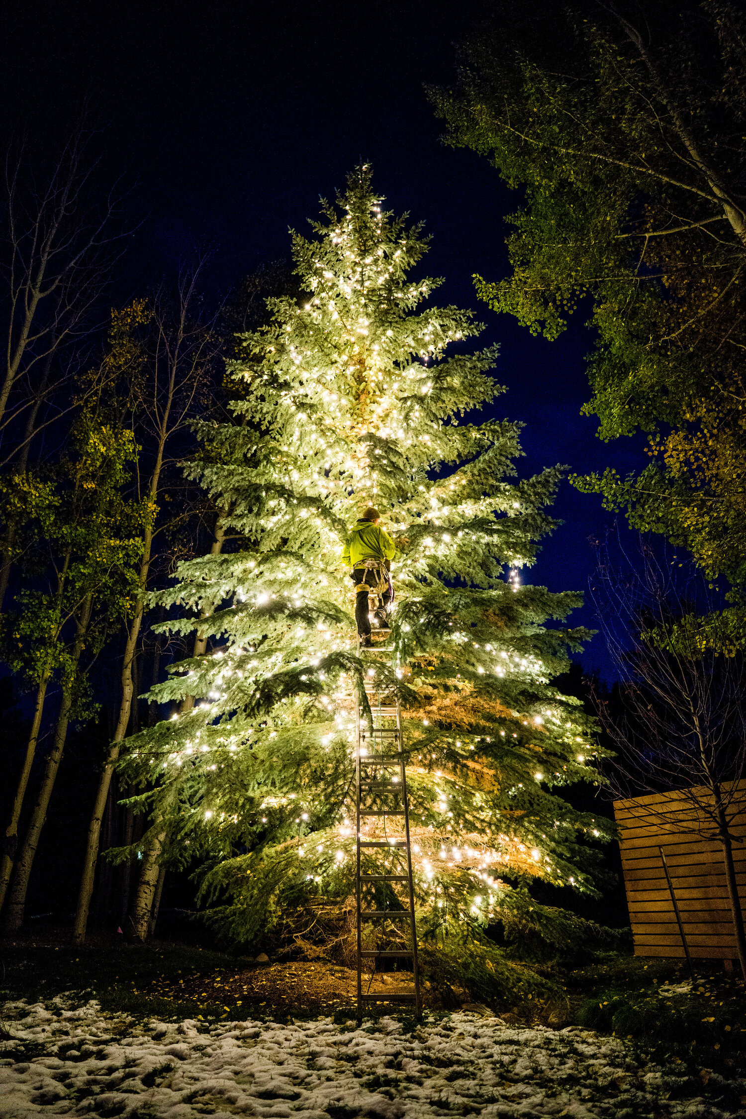Lumières de Noel Sherbrooke, Services Apollo