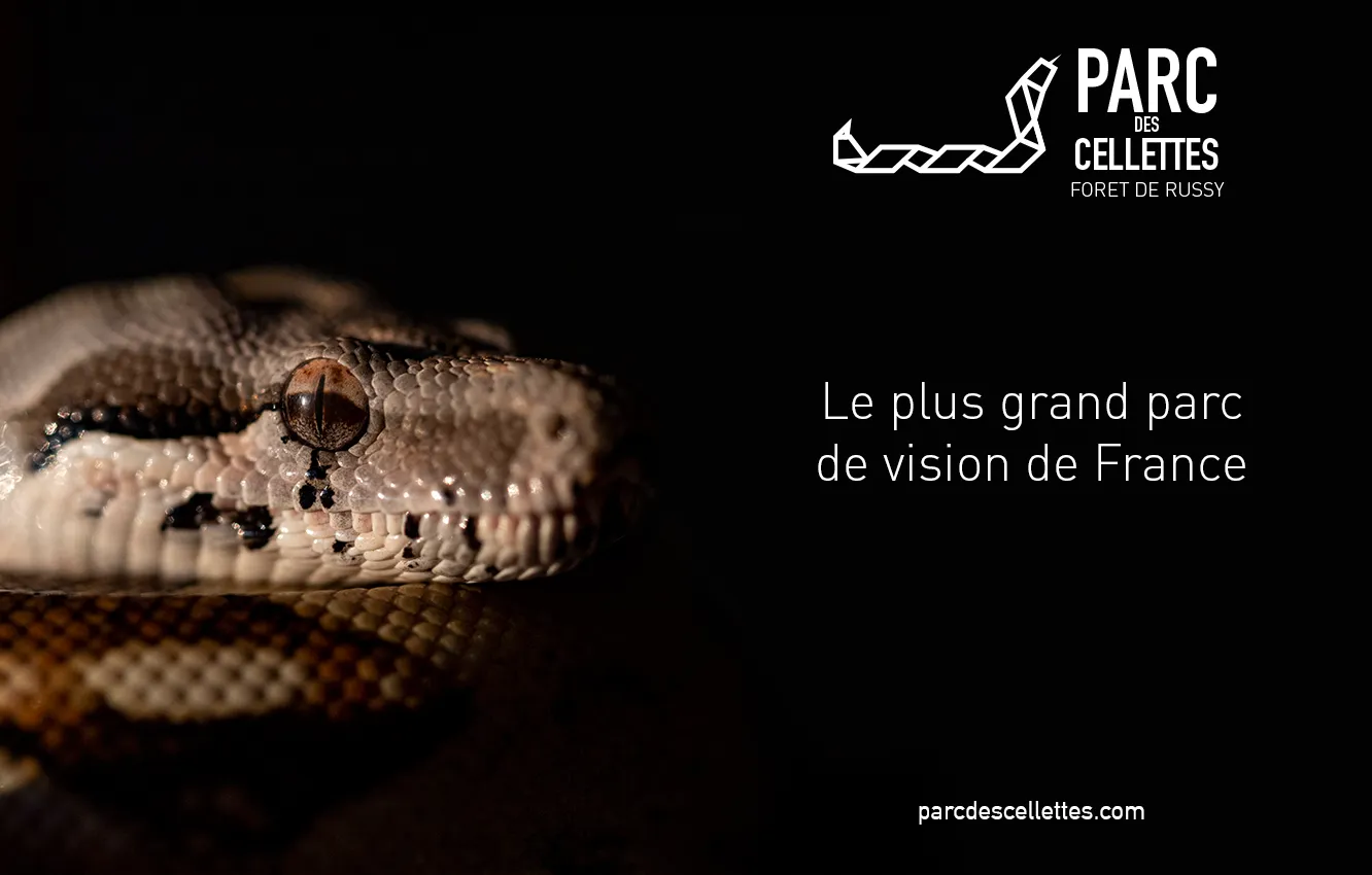 Affiches lynx et serpent du Parc des Cellettes