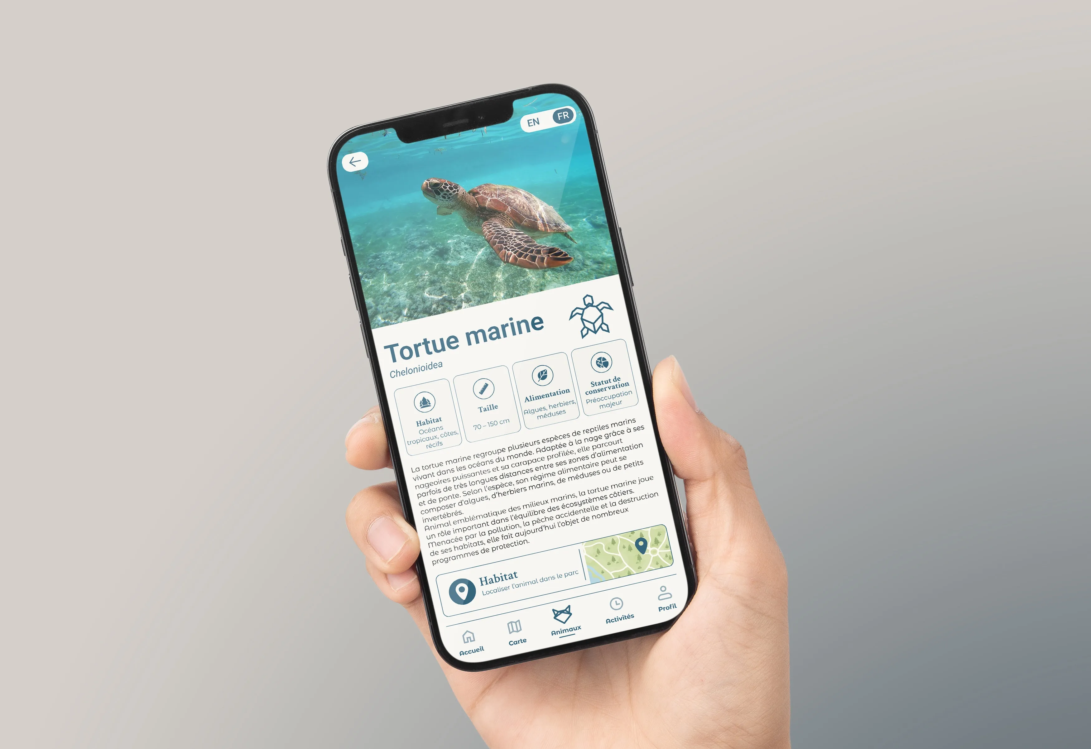Mockup d'application mobile, illustration tortue