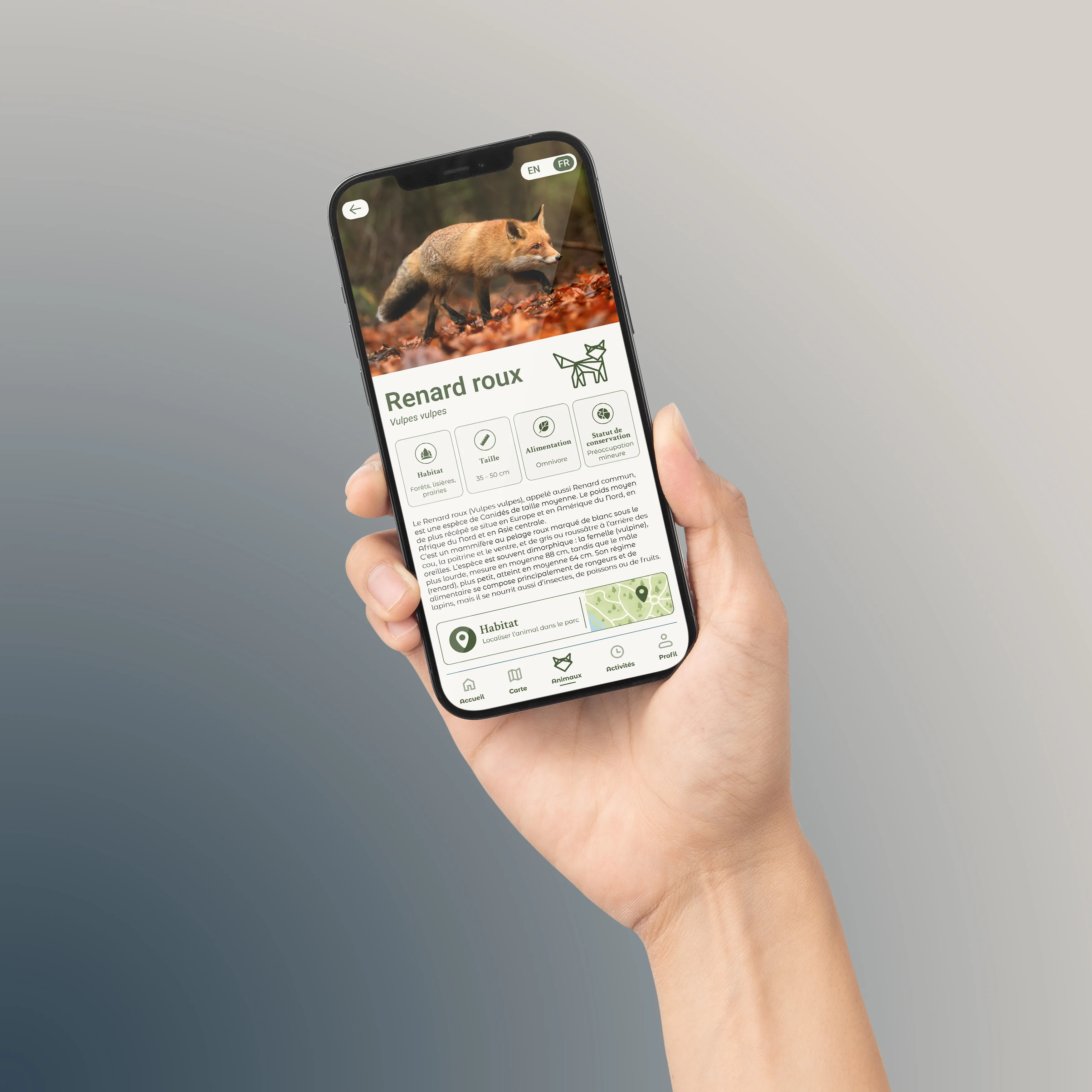 Application du Parc des Cellettes, fiche du renard roux