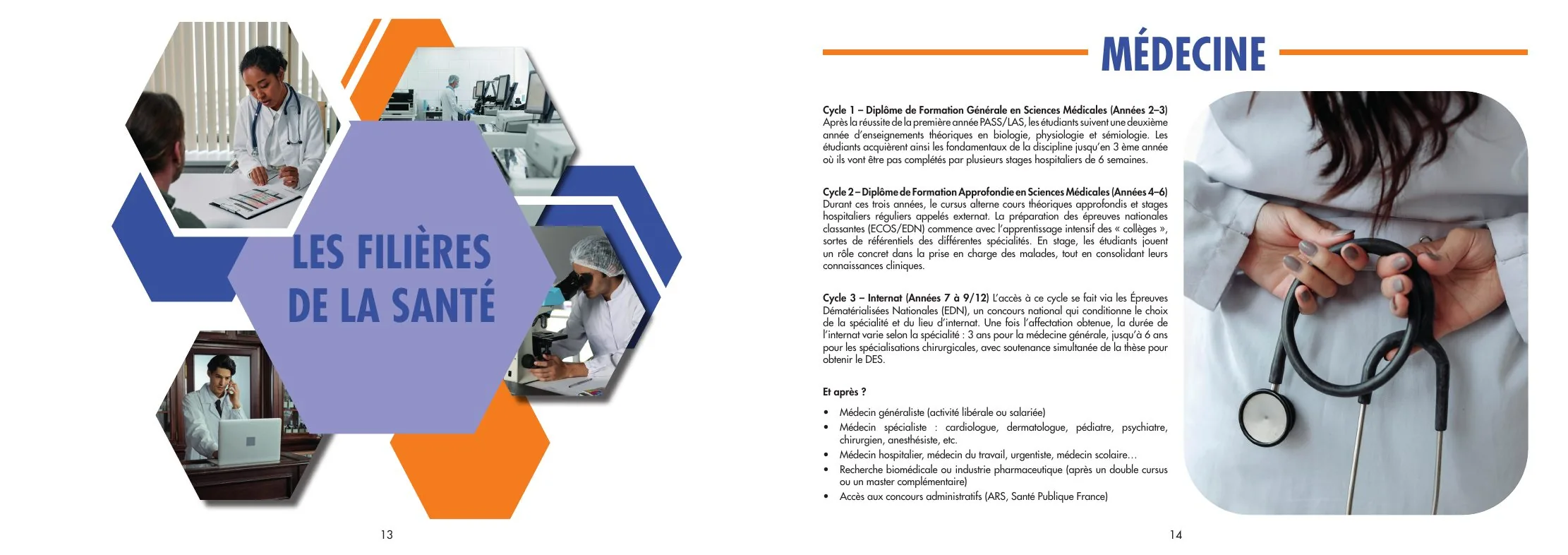 Double page « Les filières de la santé » : intercalaire en hexagones et page Médecine