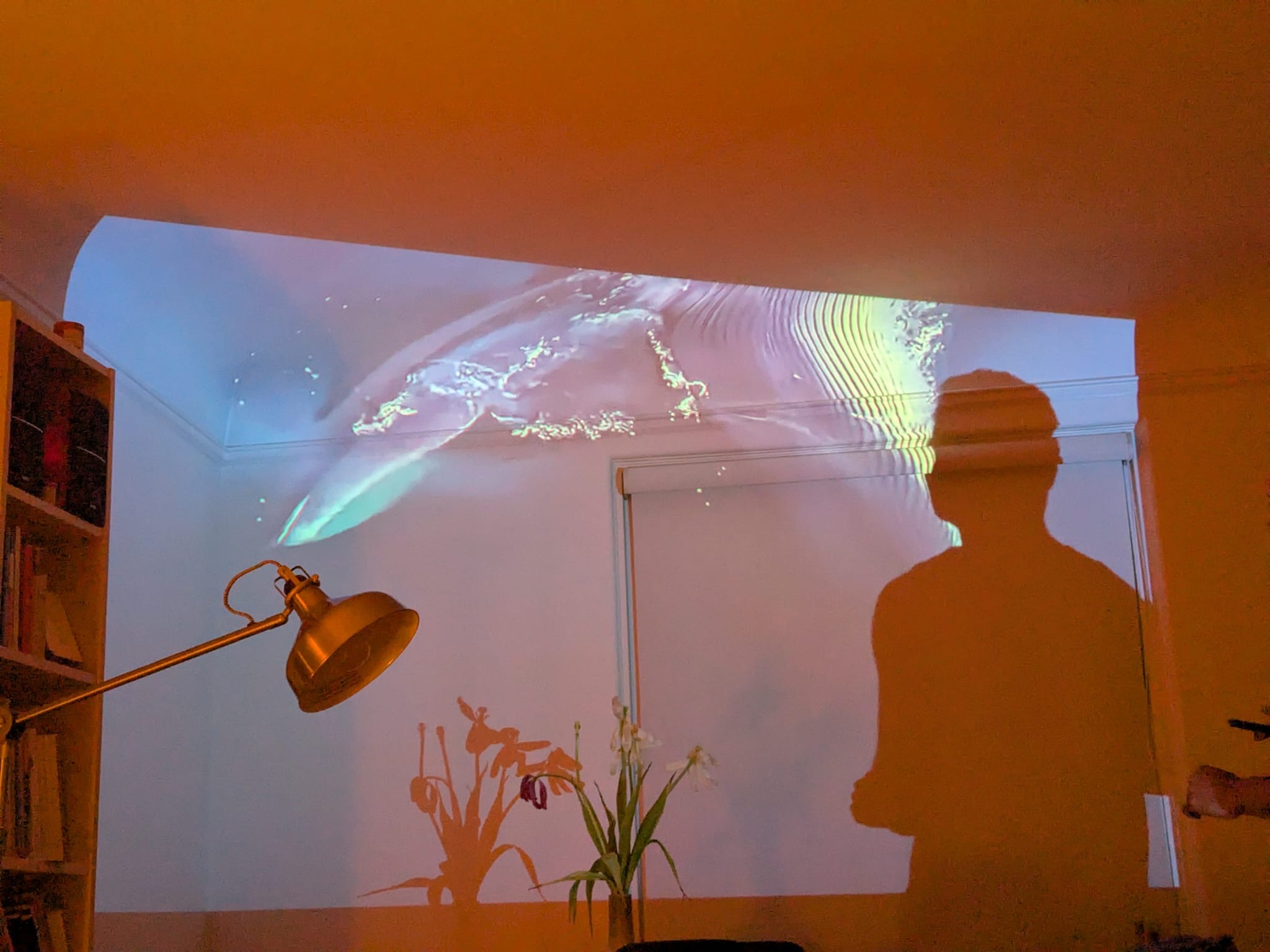 participants environment