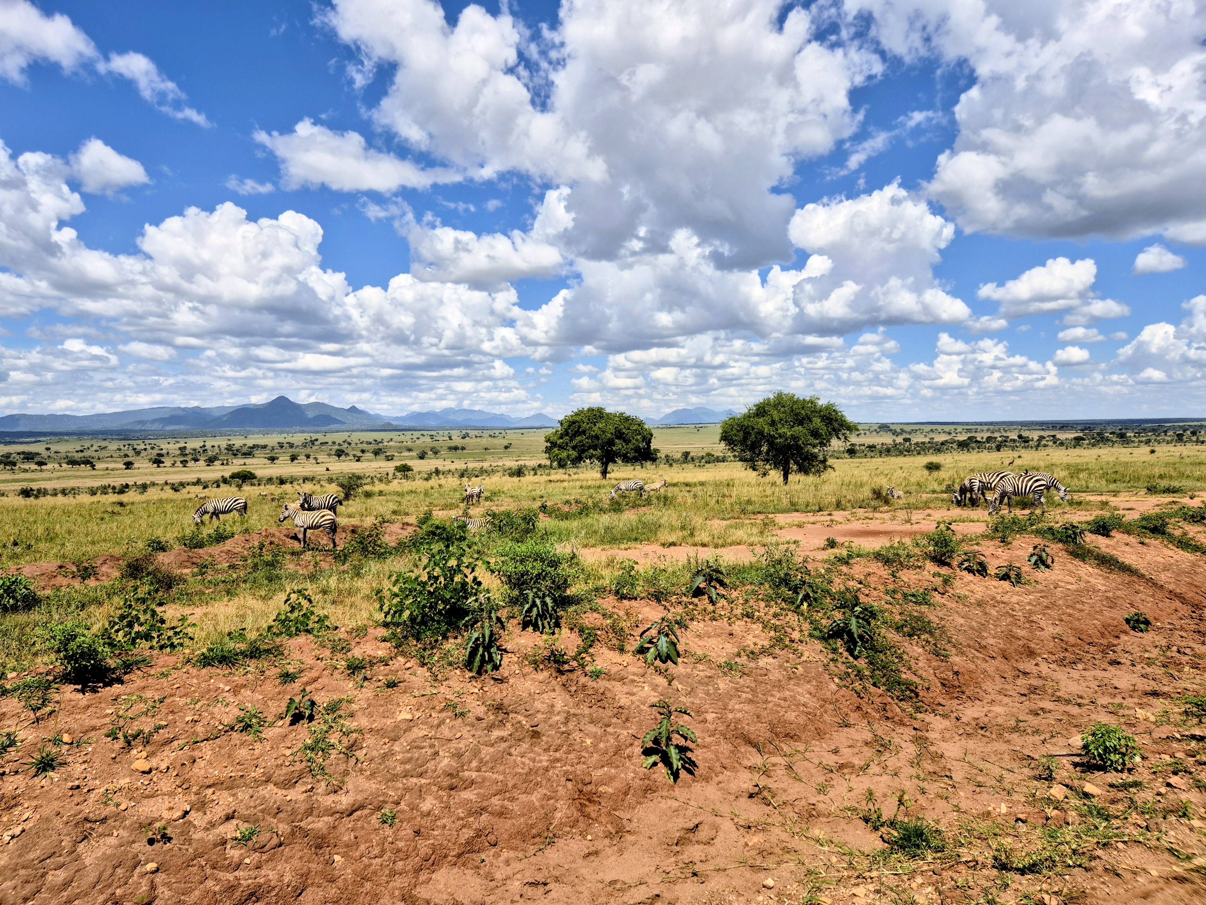 Kaabong-Kidepo National Park