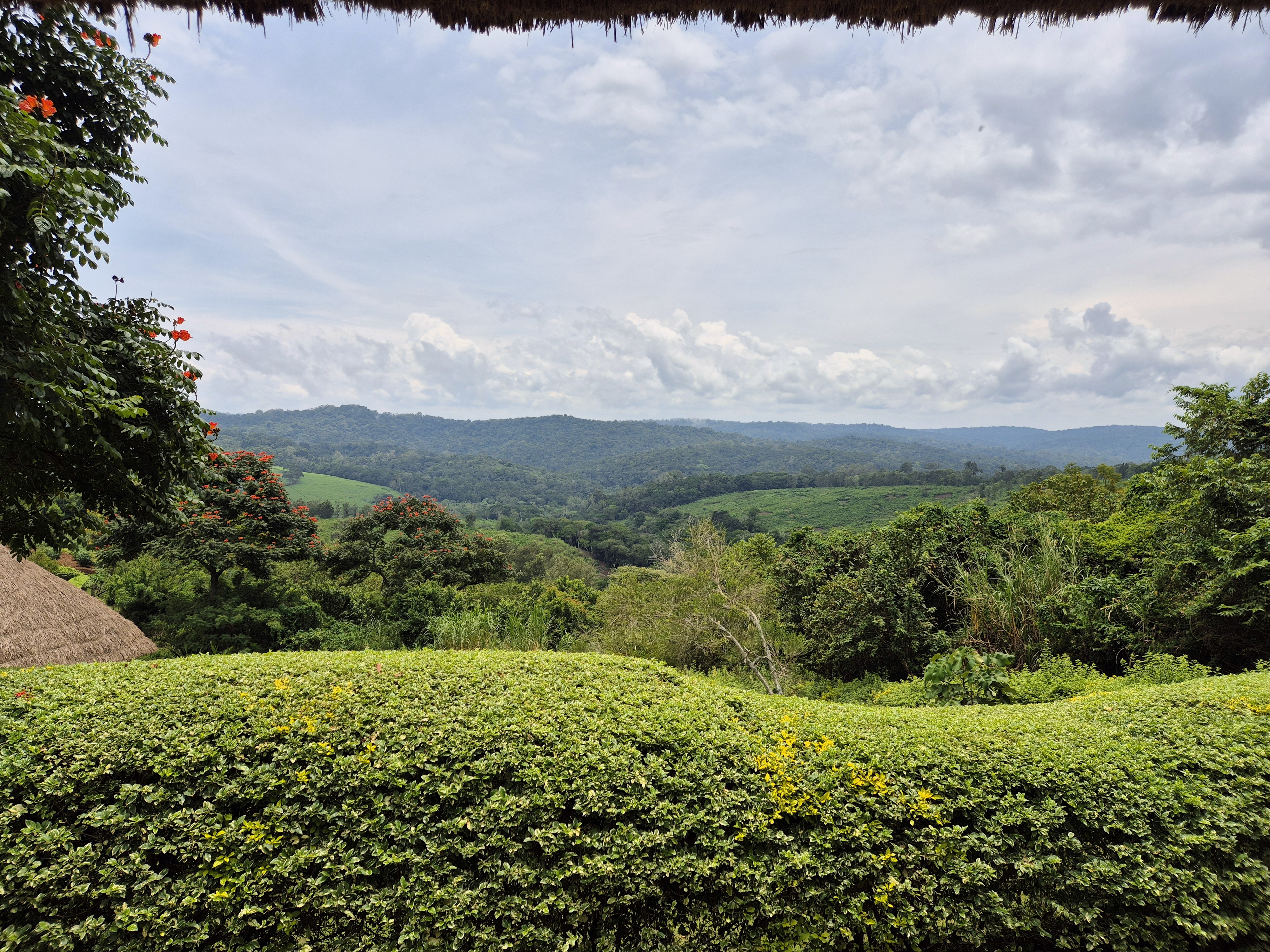 Murchison NP-Kibale Forest NP